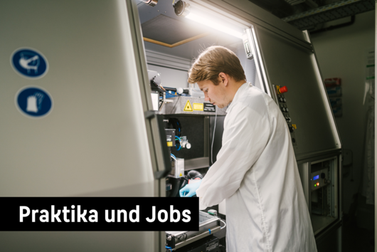 Praktika und Jobs